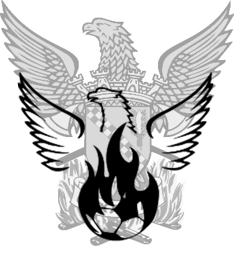 SDesportiva
